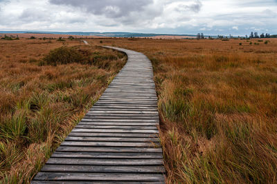 Wooden path in eifel nature park hohes venn.