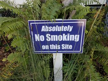 Close-up of warning sign on grass