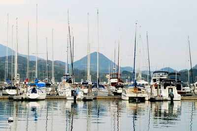 Sailboats moored in sea against sky