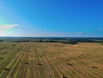 Scenic view of agricultural field against blue sky