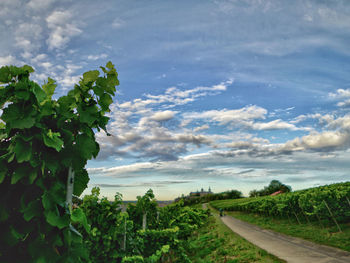 Scenic view of land against sky