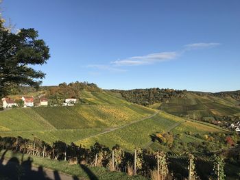 Scenic view of agricultural field against sky