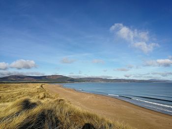 Scenic view of beach against blue sky