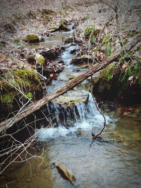 water, forest, flowing water, flowing, stream, motion, waterfall, long exposure, nature, scenics, beauty in nature, tree, rock - object, non-urban scene, river, environment, tranquil scene, day, tranquility, outdoors, waterfront, green color, power in nature, rock formation, purity, natural landmark, remote