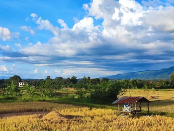 Scenic view of agricultural field against sky