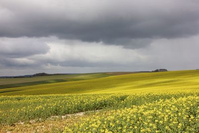 Scenic view of field against cloudy sky