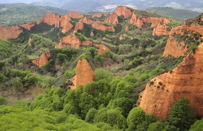 High angle view of trees on landscape