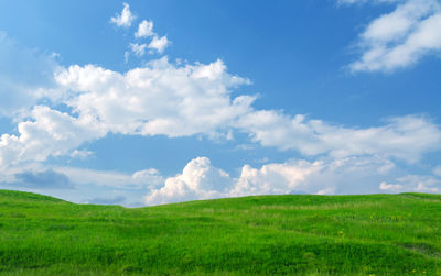 Scenic view of agricultural field against sky