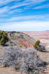 Scenic view of arizona against sky