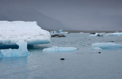 Scenic view of frozen sea against sky