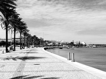 Road by palm trees against sky in city