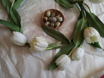 High angle view of white roses on table