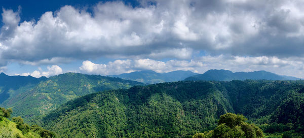 Panoramic view of trees and mountains against sky