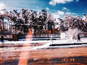 Trees by plants against sky during winter