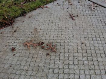 View of car on road