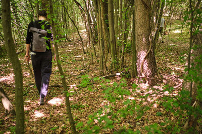 Man standing by tree trunk in forest