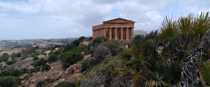 Panoramic view of palm trees and buildings against sky