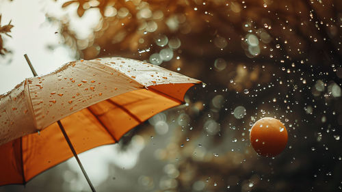 Rear view of woman holding umbrella