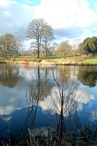 Reflection of trees in lake