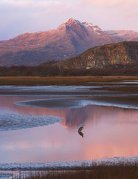 Madog estuary from the cob, porthmadog winter sunset with heron