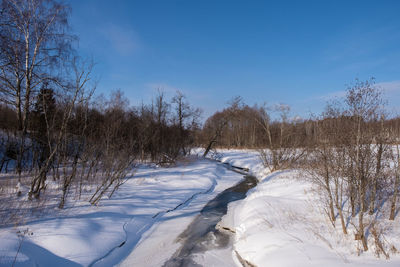 Bare trees on snow covered land against sky