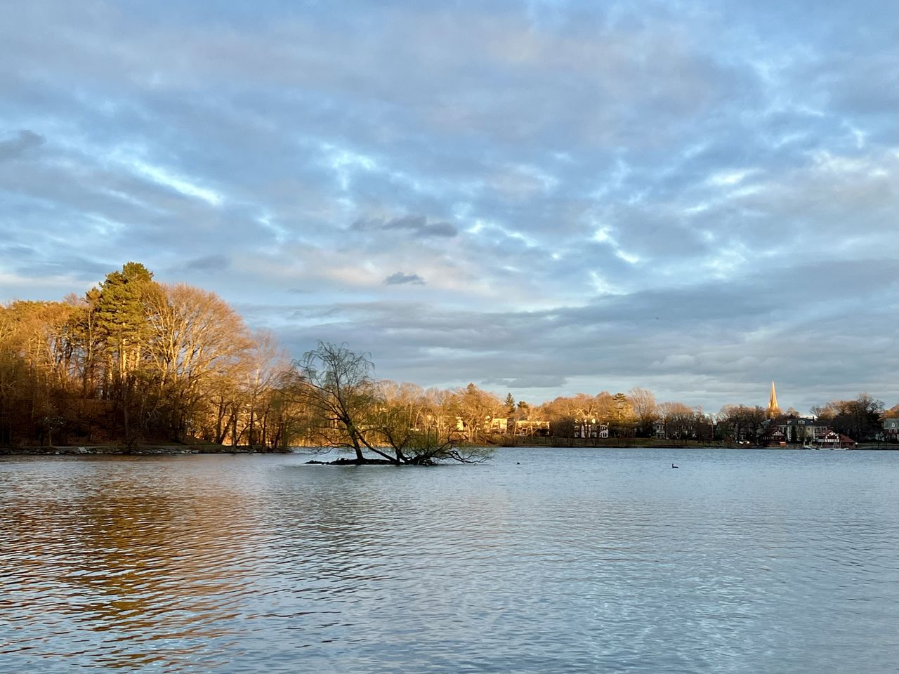 water, tree, reflection, sky, river, cloud, scenics - nature, plant, beauty in nature, nature, morning, tranquility, tranquil scene, shore, no people, landscape, environment, dusk, body of water, autumn, reservoir, outdoors, day, non-urban scene, land, travel destinations, idyllic, forest, winter, blue