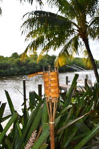 View of lake with trees in background