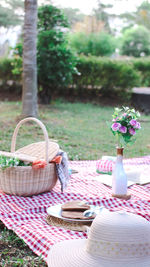 Picnic in the park 