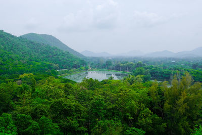 Scenic view of tree and mountains against sky