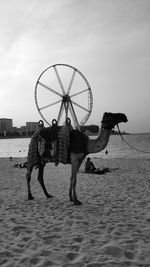 People on beach by sea against sky