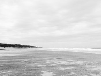 Scenic view of an ocean on a low tide