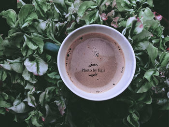 High angle view of coffee and leaves on table