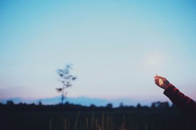 Person holding sparkler on field against sky during sunset