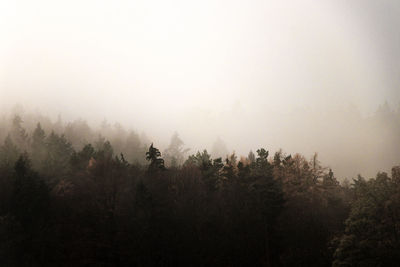 Scenic view of trees against sky during foggy weather