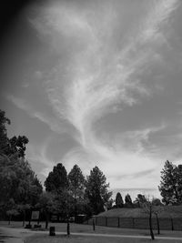 Trees on field against sky