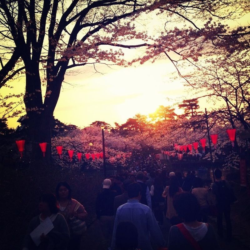 large group of people, lifestyles, tree, leisure activity, men, person, sunset, crowd, silhouette, togetherness, enjoyment, sun, sky, sitting, sunlight, mixed age range, fun, relaxation, outdoors