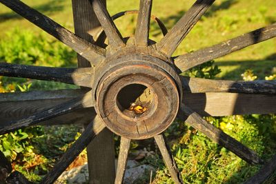 Close-up of wheel on tree trunk