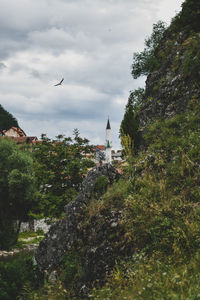 Bird flying over a building