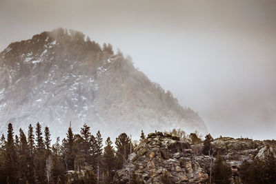 Low angle view of trees on mountain against sky