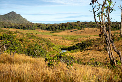 Horton plains / world's end