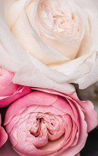 Close-up of rose bouquet