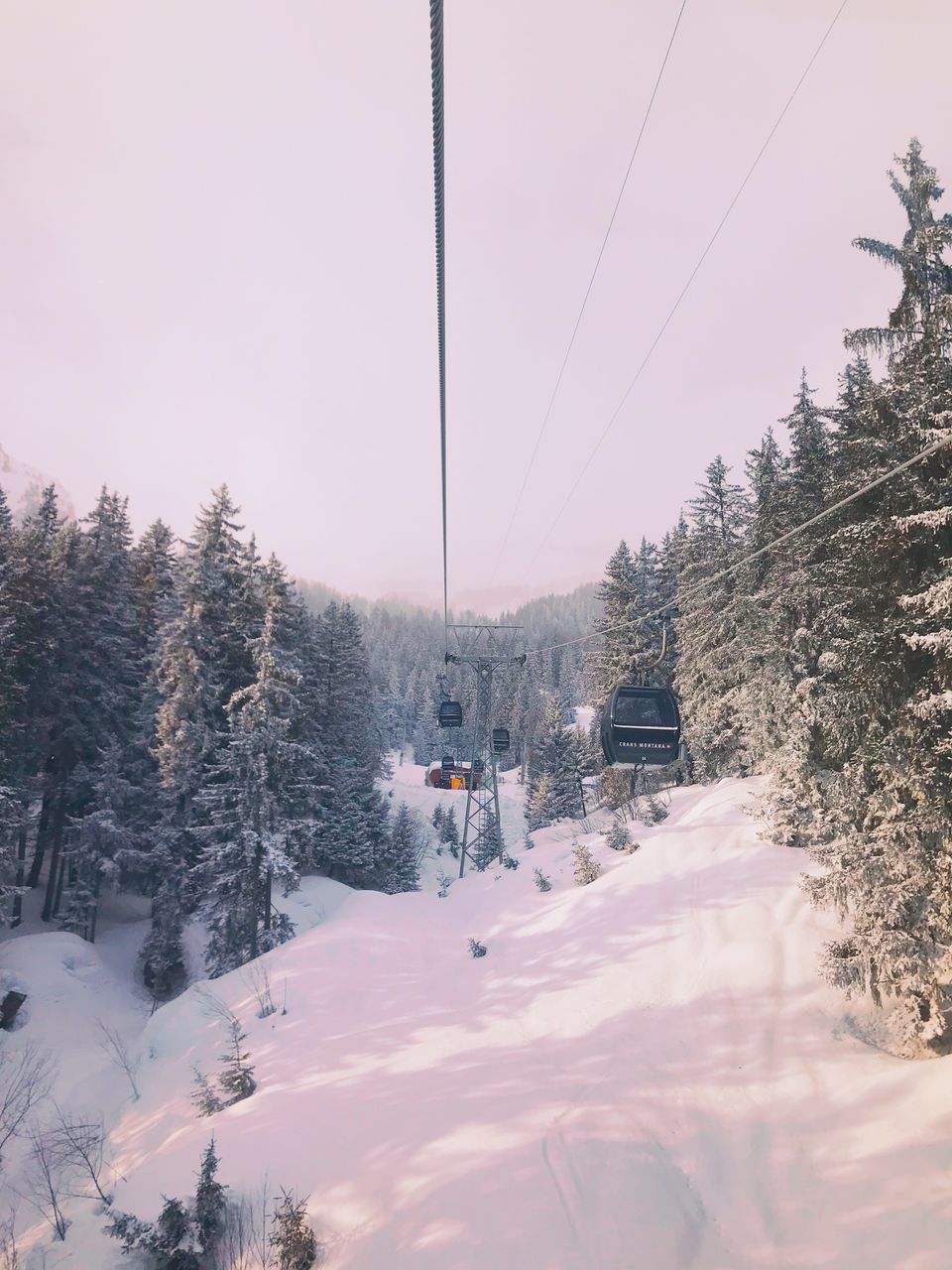 winter, snow, cold temperature, nature, tree, weather, transportation, beauty in nature, outdoors, cable, overhead cable car, tranquil scene, tranquility, scenics, no people, day, ski lift, sky