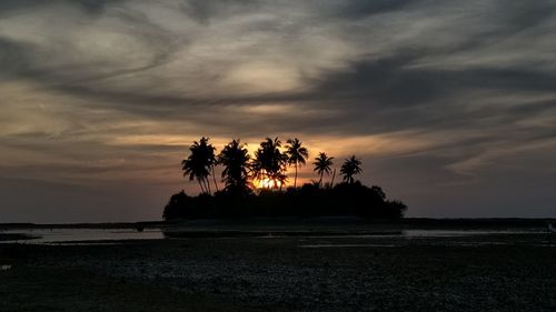 Silhouette trees on beach against sky at sunset