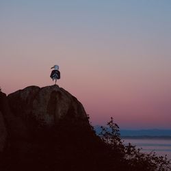 Man standing on rock against sky during sunset