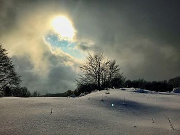 Bare trees on snow covered landscape against sky