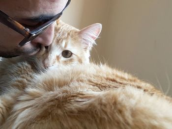 Close-up of man kissing cat at home