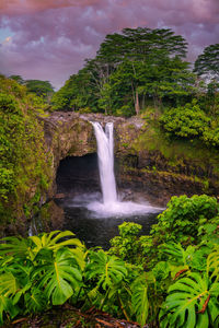 Waterfall in forest