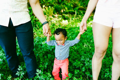 Cropped view of a father and mother holding their son's hands