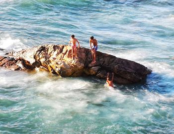 View of birds on rock in sea