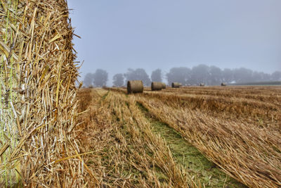 Hay bales on field against sky